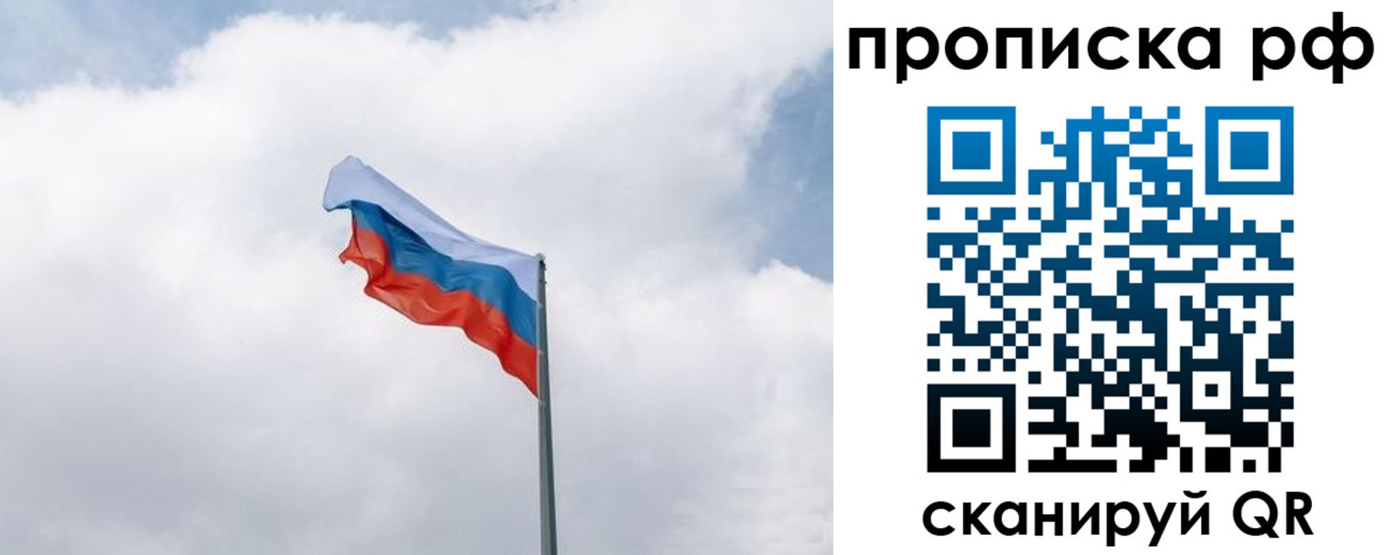 прописка гарантия в Ртищево
